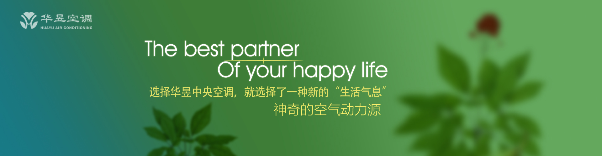 心广体胖网